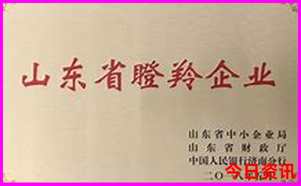 香港彩开奖结果记录查询